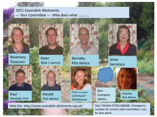 Cavendish Committee 2011
