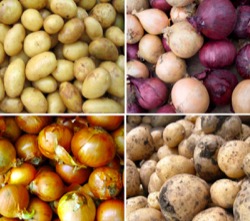 Image - Onions-and-Potatoes