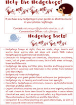 Hedgehog-poster-17_04_2016.jpg