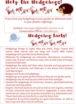 Hedgehog poster